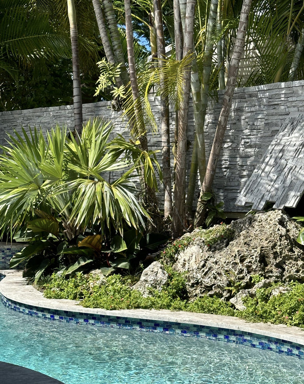 Lightning Ridge faux stone panel in Moonlight Gray – exterior siding and backyard