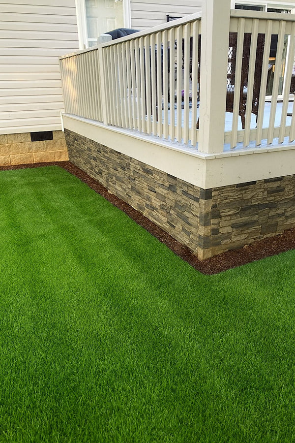 Lightning Ridge faux stone panel in Nature's Spirit – exterior siding and backyard